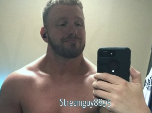 Streamguy8895