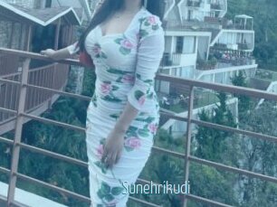 Sunehrikudi