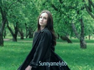 Sunnyamelybb