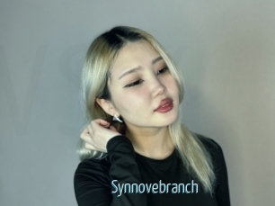 Synnovebranch