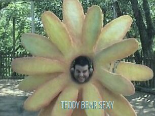 TEDDY_BEAR_SEXY