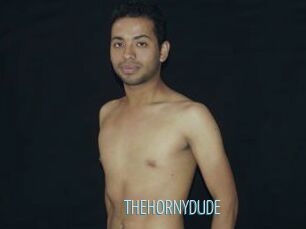 THEHORNYDUDE