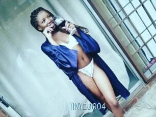 TINY20004