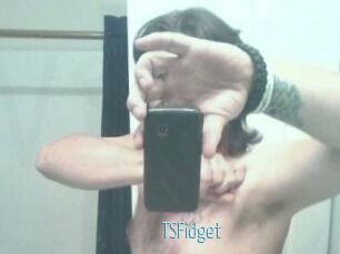 TSFidget