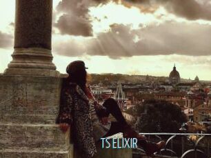 TS_ELIXIR