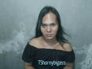 TShornybigass