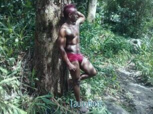 Tauro_Hott