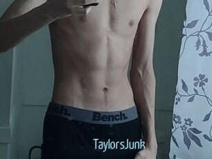 TaylorsJunk