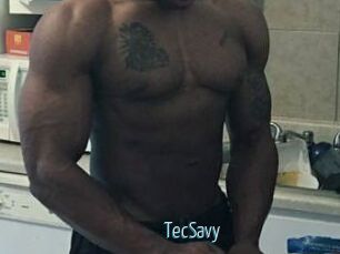TecSavy