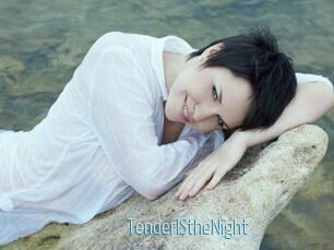 TenderIStheNight