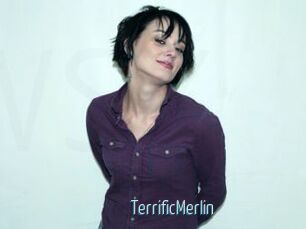 TerrificMerlin