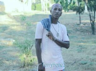 TerryHone1