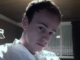 TheNewStud
