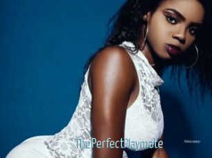 ThePerfectPlaymate Video Sexe