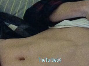 TheTurtle69