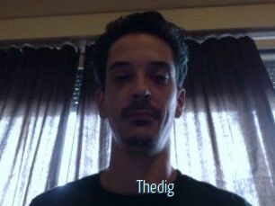 Thedig