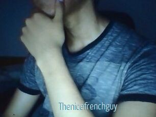 Thenicefrenchguy