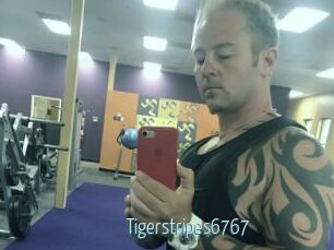 Tigerstripes6767