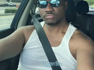 TiggerBoy