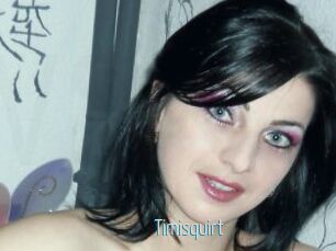 Timisquirt
