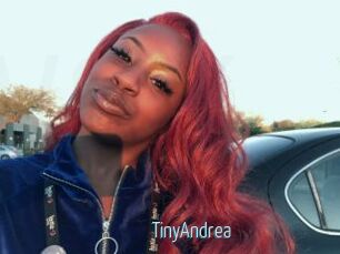 TinyAndrea