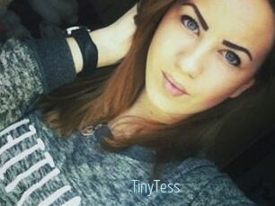 TinyTess