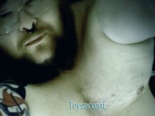 Toyservent Video Sexe