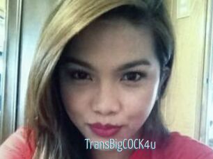 TransBigCOCK4u