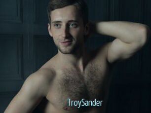 TroySander