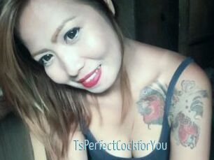 TsPerfectCockforYou
