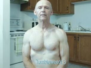 Tumbleweed13