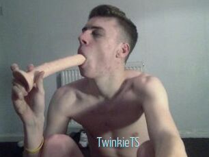 TwinkieTS