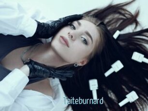 Taiteburnard