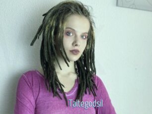 Taitegodsil