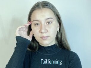 Taitfenning