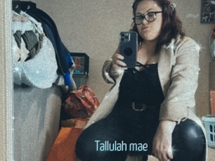Tallulah_mae