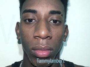 Tammylambert