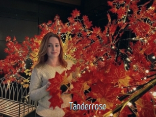 Tanderrose