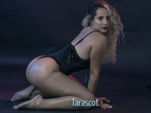 Tarascot