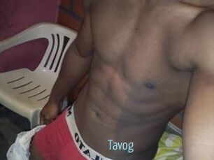 Tavog