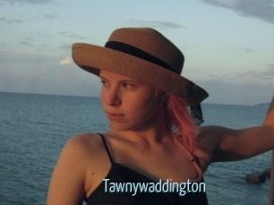 Tawnywaddington
