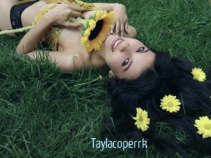 Taylacoperrk