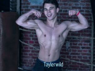 Taylerwild