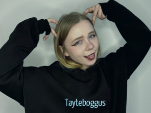 Tayteboggus