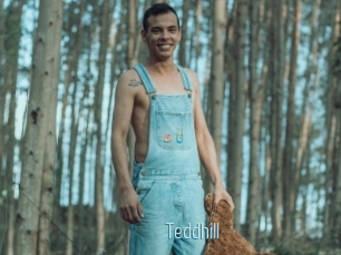 Teddhill