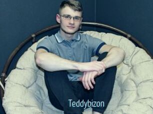 Teddybizon