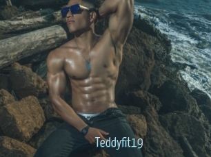 Teddyfit19