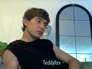 Teddyfox