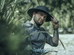 Teddysteel