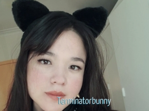 Terminatorbunny